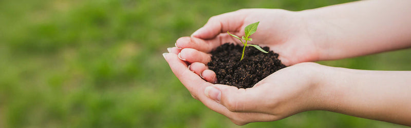 eco_1920X600_410c3775-72a6-450f-8390-86145cc74c81